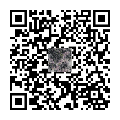 待添加